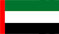 UAE flag